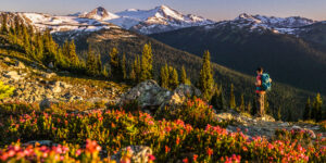 Whistler Blackcomb - Summer Alpine Experience